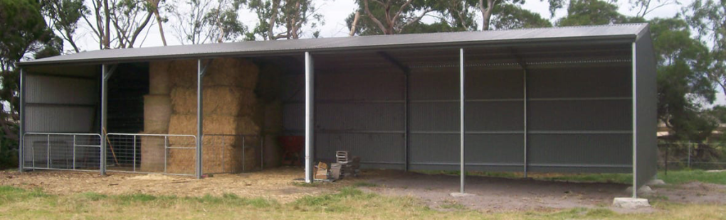 Custom Shed Design 4